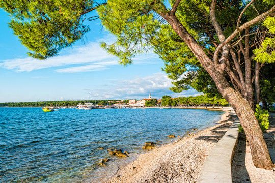 Fazana, a small town on the Istrian peninsula in Croatia