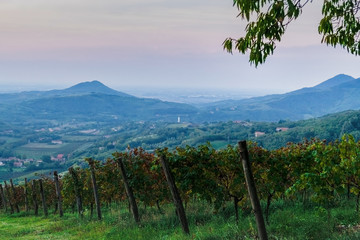 The morning haze in the valley is surrounded by hills. Parco Regionale dei Colli Euganei. Italy. Soft focus, blurry background.
