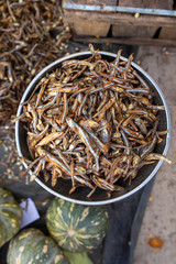 Les test de terrains