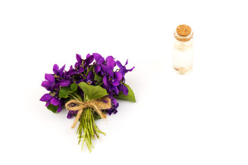 Viola odorata oil (Sweet Violet, English Violet, Common Violet, or Garden Violet) with fresh Viola odorata flowers. Wood Violet (Viola Odorata) flowers isolated on white background in close- up.