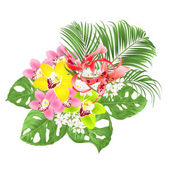 Tropical Orchids red Dendrobium and Cymbidium green and   yellow and pink  flowers and Monstera and palm  on a white background vintage vector illustration editable hand draw