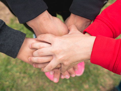 Whole Family Holding Hands, Family Love And Care Concept, Only Hands Shown