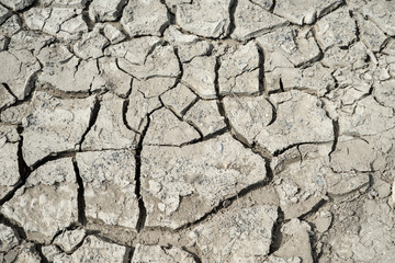 Crack soil on dry season, Global worming effect