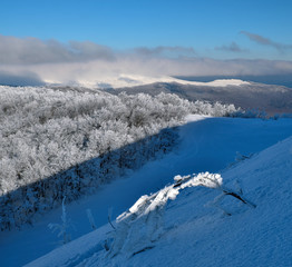 Winter in the Bieszczady National Park