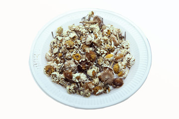 dried chamomile on a white plate . Dried chamomile in a white plastic plate .