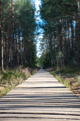 Wooden path in Trakai historical national park, botanical zoological reserve, cognitive trail, long...