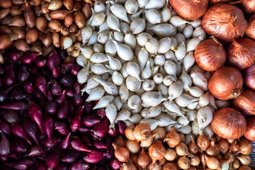 large assortment of onions closeup