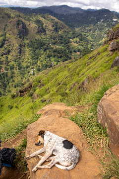 Sri Lanka 