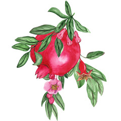 Watercolor illustrations of pomegranate for wedding cards, romantic prints, fabrics, textiles and scrapbooking. - 336121912