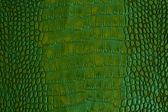 Green crocodile genuine leather as for luxury background.