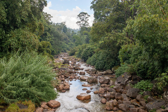 Sri Lanka 
