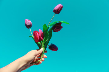 Imagen minimalista de una mano humana sujetando un ramo de flores moradas