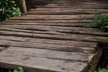 Close-up picture of old wooden bridge with green plants on the side. Ancient wooden boardwalk in countryside.