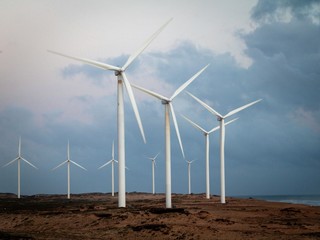 wind turbine in the field