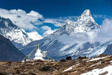 Yak, Stupa y Ama Dablam.