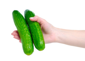 Cucumbers fresh vegetable in hand on white background isolation