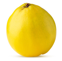 Fresh quince fruit