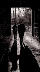 silhouette of a woman walking in the barn with horse