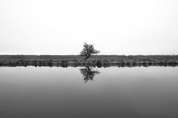 Beautiful landscape of a river and a lonely tree. Black and white photo of a river tree reflected in water