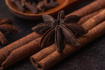 Anise, cinnamon sticks and cloves in a wooden spoon, macro