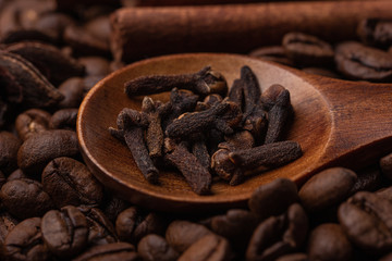 Anise, cinnamon sticks and cloves in a wooden spoon, macro