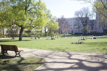 People tanning in the park in Berlin