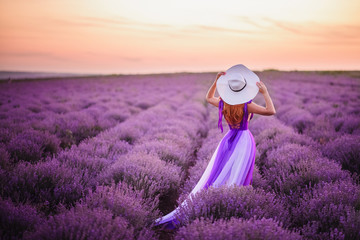 Young woman in luxurious purple dress standing in lavender field, rear view - obrazy, fototapety, plakaty