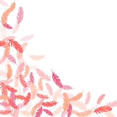 Flying feather elements airy vector design.