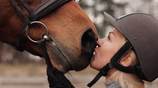 Cute female rider (wears jockey helmet) caresses and kisses brown horse at nose. Slow motion view
