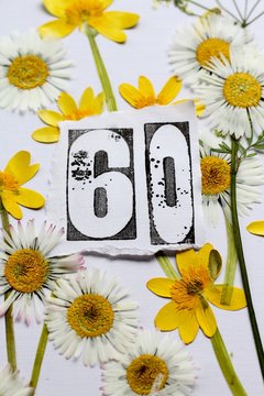 Sixtieth  birthday card image, a stamped number sixty surrounded by pressed flowers, daisies and yellow lesser celandine wildflowers . A nature inspired, fresh background.  