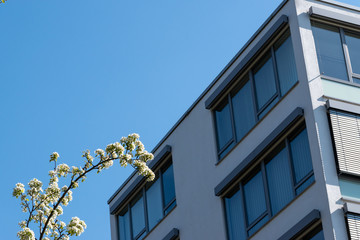 office building in park setting with trees and blue sky 