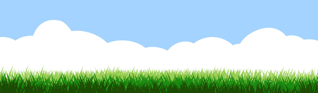 Grass Field And Blue Sky White Clouds. Vector Isolated. Background. Green Dense Juicy Lawn Grass. Spring Summer. Isolated. Grassland Landscape. Meadow. Horizontal Herbs Garden.