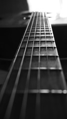 Fototapeta premium Close up macro on guitar strings black and white photo