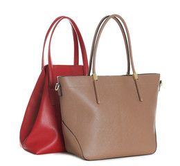Different stylish woman's bags isolated on white