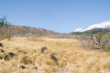 Landscape at Volcán Arenal National Park