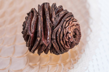 Pineapple as an ornamental motif without pine nuts and already dried away from the pine and that serves as a complement of decoration