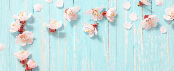 pink cherry flowers on wooden background