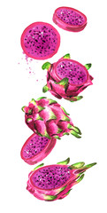 Falling Pitaya fruit Whole and cut. Red or purple Dragon fruit. Hand drawn watercolor illustration, isolated on white background