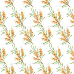 sea buckthorn