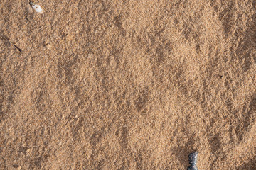 Background image of a sandy beach texture