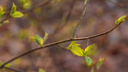 every ending is a new start