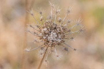 every ending is a new start