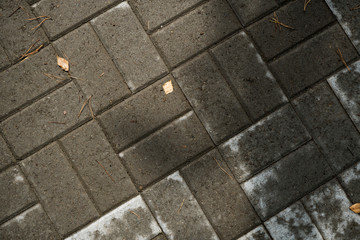 Texture of paving slabs overgrown with grass. Background image of a stratum stone