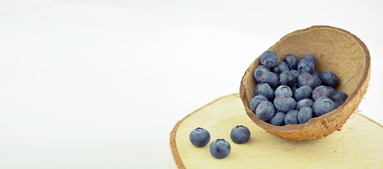 Banner: Fresh blueberries in a coconut shell as a cup on white background. Concept for healthy nutrition, Space for text