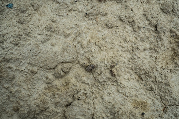 Texture of dried cracked clay. Macro background image of dried clay