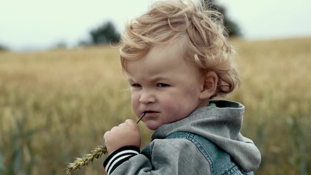 Little boy in wheet