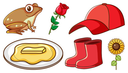 Large set of different animals and other objects on white background