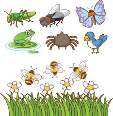 Large set of different types of insects on white background