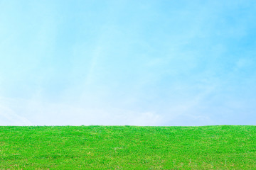 Fototapeta na wymiar Green Grass Blue Sky Background