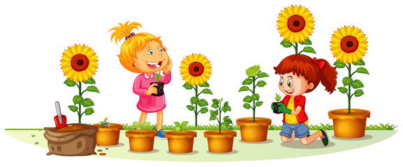 Scene with two girls planting sunflowers in the garden